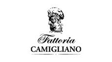 Fattoria Carmignano